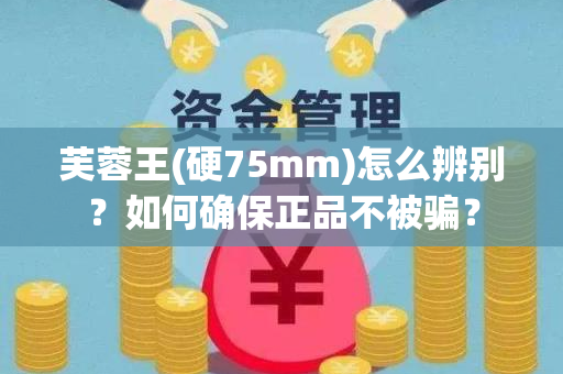 芙蓉王(硬75mm)怎么辨别？如何确保正品不被骗？